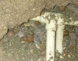 双流卫生间测漏