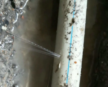 双流卫生间测漏水多少钱