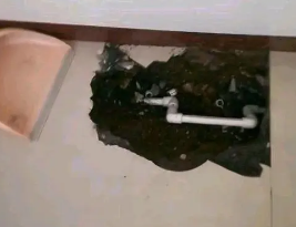 双流卫生间测漏水多少钱